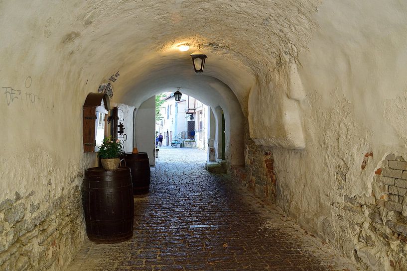 A l'intérieur du passage St. Catharine par Frank's Awesome Travels