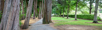 Invercargill, Neuseeland – Queens Park Gardens