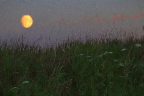 The Moon shines through the tall grass