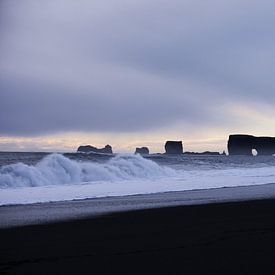 Plage d'Islande sur Leon Eikenaar