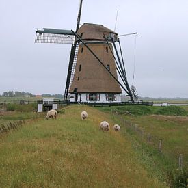 Windmühle Het Noorden, Texel von Liselotte Helleman