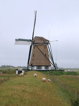 Windmill Het Noorden, Texel by Liselotte Helleman