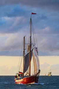 Segelschiffe auf der Ostsee während der Hanse Sail in Rostock