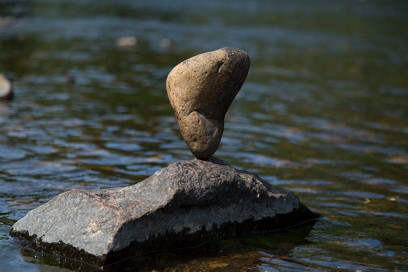Balance sheet (1) by www.narro-imago.nl