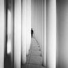 Dissapear by Christophe Staelens