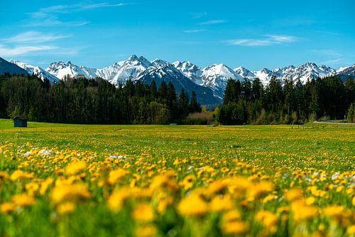 Schilderachtig uitzicht op de lente Allgäu en zijn bergen