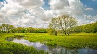 Drentsche Aa