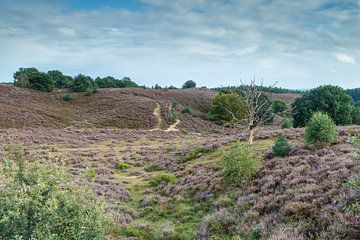 La Posbank. sur Menno Schaefer