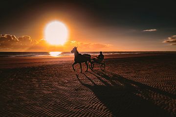 Jockey on the beach II by Rob van der Teen