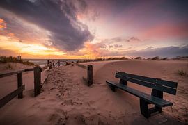 Sandblasted and Set Free by Thom Brouwer