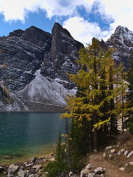 Herfst in de Rockies van Timon Schneider