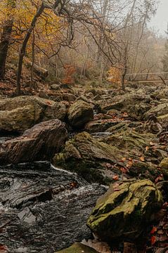 Herfst in de Ardennen van Geert Van Baelen