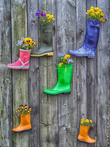 Gekleurde rubberlaarzen als bloempotten op een houten muur
