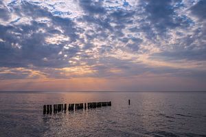 Buhnen im Sonnenuntergang an der Küste der Ostsee bei Graal Müritz