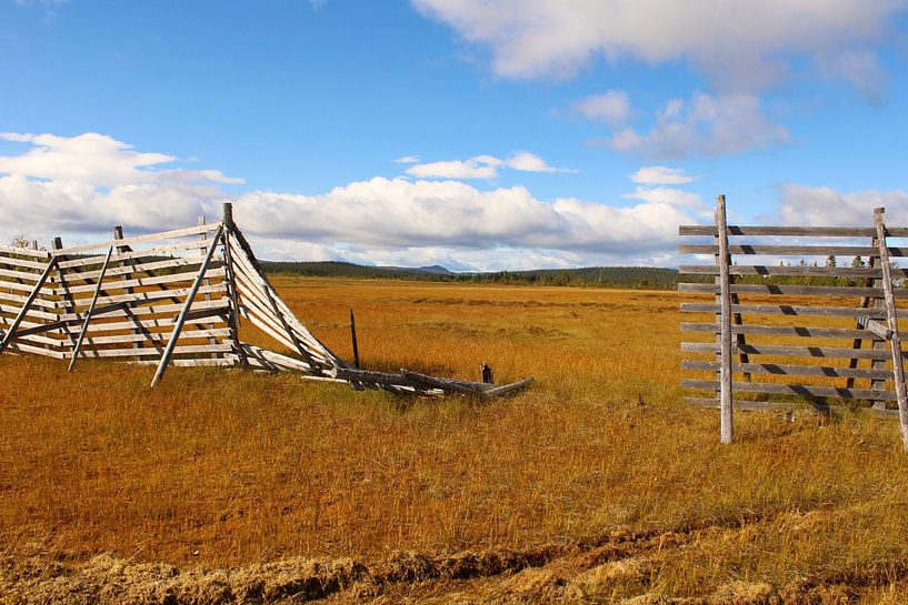 Hole in fence, on the way to freedom by Zoë Golsteijn