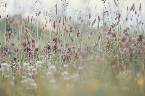 flowers part 315
