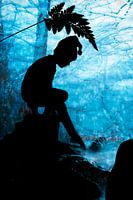 SHADOW POETRY: The elf