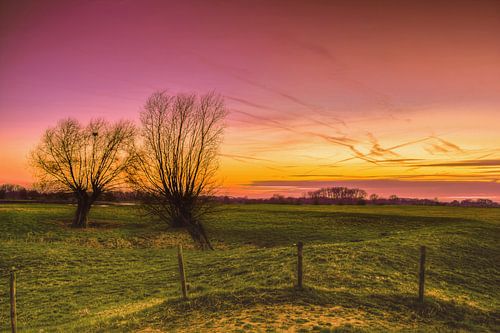 uiterwaarden bij zonsondergang