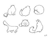 Fineline illustraties van een kat