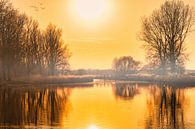 Golden closure in heiloo by peterheinspictures thumbnail