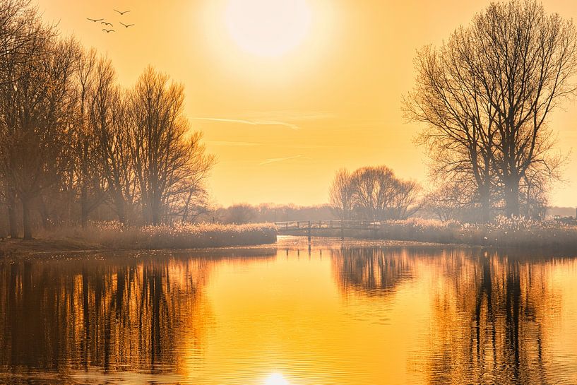 Golden closure in heiloo by peterheinspictures