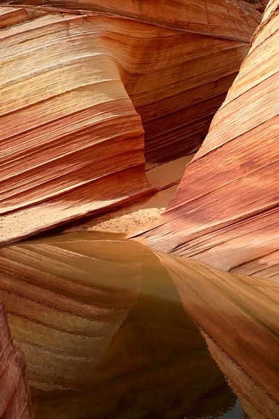 Rotsformaties in de North Coyote Buttes, deel van het Vermilion Cliffs National Monument. Dit gebied van Frank Fichtmüller