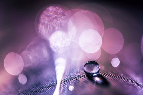 Waterdruppel op een veertje met bokeh achtergrond