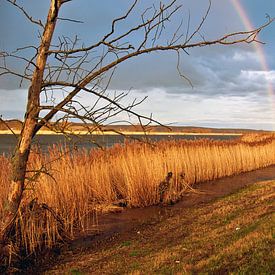 Double arc-en-ciel sur la digue de l'Oder à Zollbrücke sur Silva Wischeropp