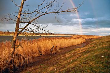 Dubbele regenboog op de Oderdijk in Zollbrücke