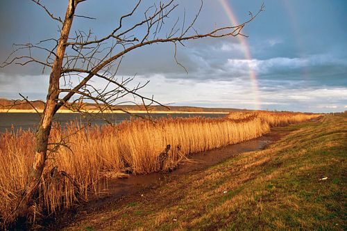 Double rainbow on the Oder dyke in Zollbrücke by Silva Wischeropp