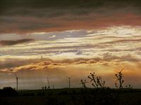 Sommer im Weinviertel V