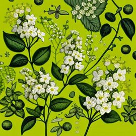 Lime blossom pleasure by Vythryd Arts