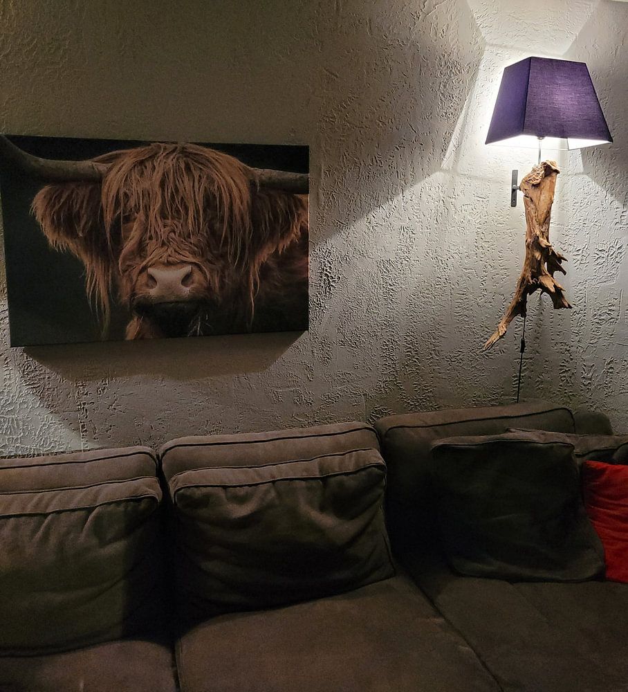 Schottischer Highlander  von Mark van der Walle 