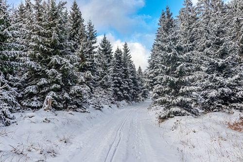 Eerste winterwandeling op de Rennsteig