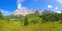 Zomerpanorama met de bergen van Dachstein