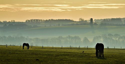 Morgen in den belgischen Ardennen