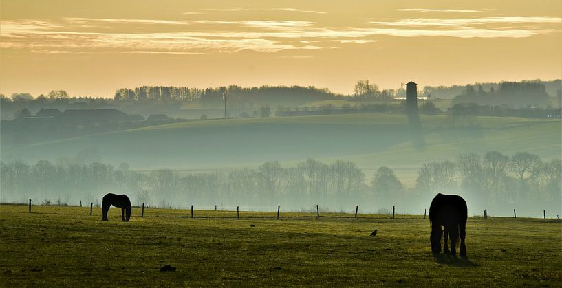 Morning in the Belgian Ardennes by Tony Van de Velde
