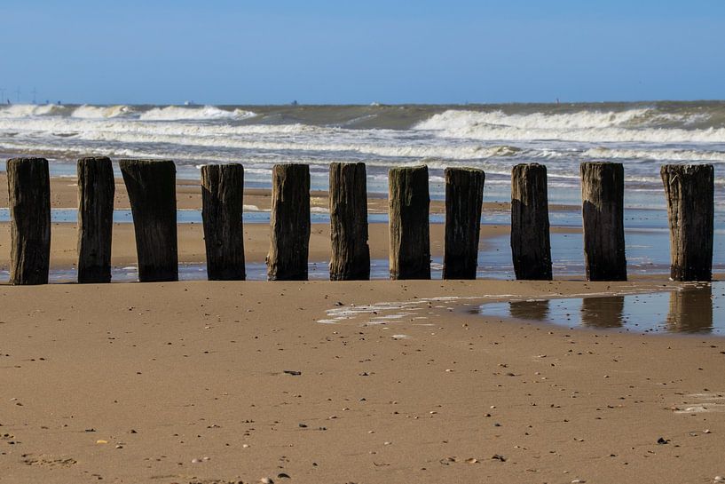Beach posts by Dotwood