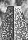Norwegian mountain sports centre in Åndalsnes in black and white by Adelheid Smitt thumbnail