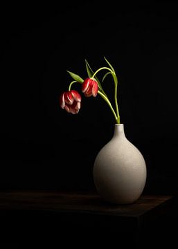 Tulipes néerlandaises dans un vase blanc