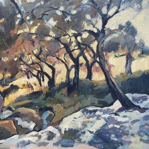 Namiddag zonlicht in de olijfgaard (vierkant)