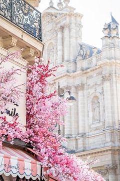 Roze bloemenluifel op lentedag in Parijs van sonja koning