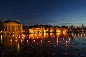 Winterkälte in den Niederlanden: ein stimmungsvoller Hofvijver.