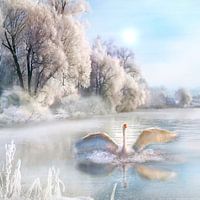 Winterochtend