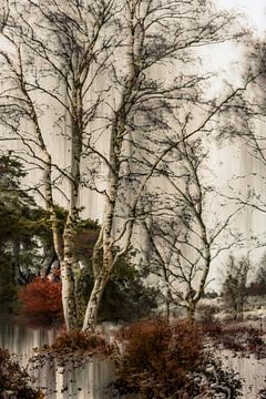 Wolfhezerheide part 161