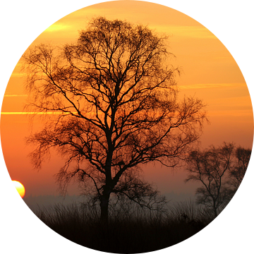 Zonsopgang op de Ginkelse heide van Herman van Alfen