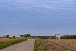 Un moulin à vent le matin