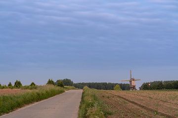 An Windmill in the morning