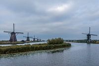 Moulins à Kinderdijk