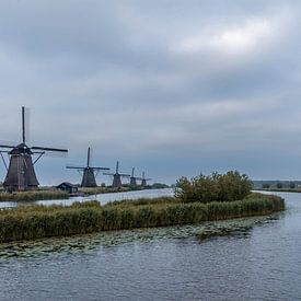 Molens in Kinderdijk van Norbert Versteeg